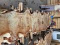 Premium Poplar Wood Countertops – 100 m³ in Stock