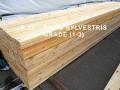 Pine Kiln Dried Lumber from Russia