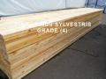 Pine Kiln Dried Lumber from Russia