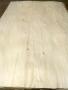 Poplar (Aspen) peeled veneer Rus Kavak Kaplama