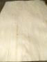 Poplar (Aspen) peeled veneer Rus Kavak Kaplama