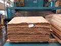 Poplar (Aspen) peeled veneer Rus Kavak Kaplama