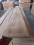 Clear pine timber, kd10%, boards knot free