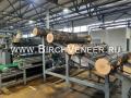 Russian Birch veneer Huş kaplama