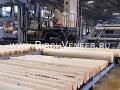 Russian Birch veneer Huş kaplama