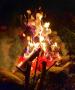 Hardwood softwood kindling