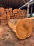 Hardwood round logs