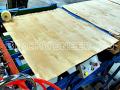 Birch Rotary Cut Veneer 1300x1300mm & 1600x1600mm