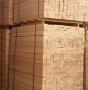 Radiata Pine (Pinus radiata)/Sitka Spruce Lumber for sale