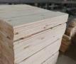 Radiata Pine (Pinus radiata)/Sitka Spruce Lumber for sale