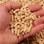 100% coniferous pellets – ideal for stoves and heating systems