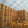 100% Acacia/Birch/ hornbeam firewood cheap price