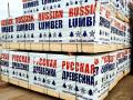 Spruce, Pine 16/22/25x75/100x2400-4000mm for Middle East
