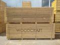 Pine and spruce lumber