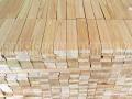 Pine Finger Jointed Edge Glued Panels