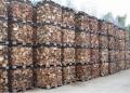Firewood Cords for Sale - Buy Firewood in Bulk, KD Beech Cleaved Firewood, 25-33 cm Long